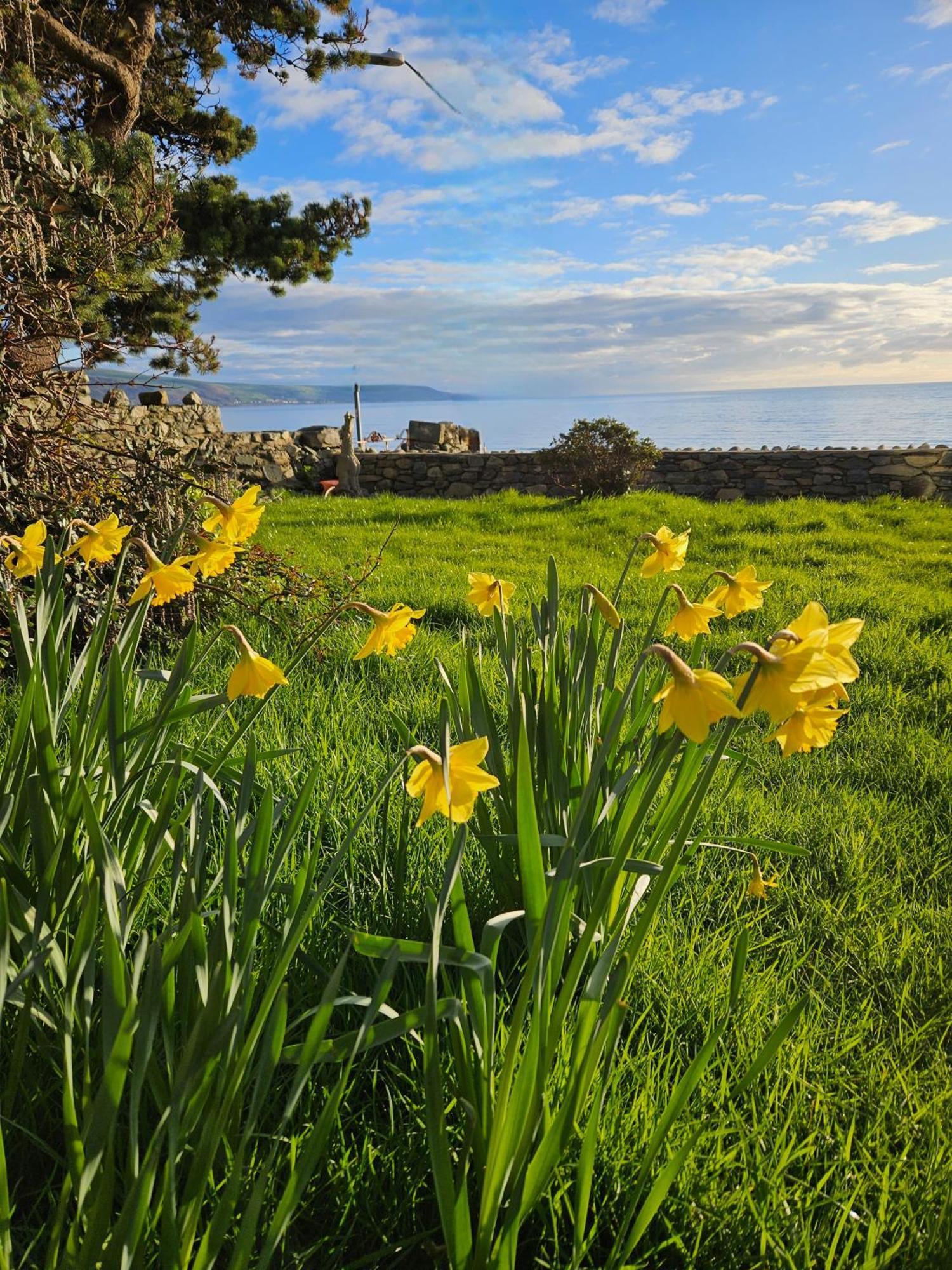 Talarfor Barmouth Villa Eksteriør bilde